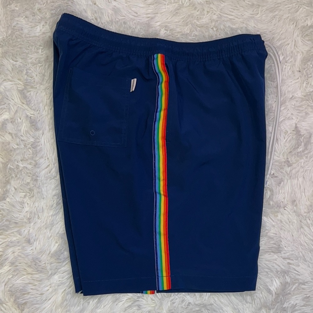 chubbies Navy Swim Trunks with Rainbow Stripe